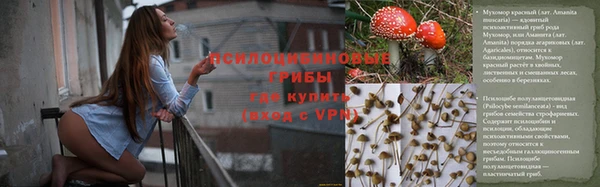 амфетамин Алексеевка