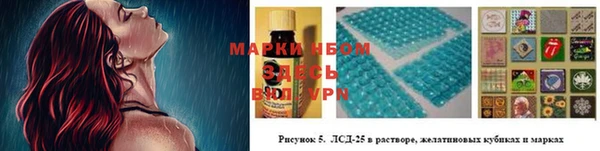 спиды Аркадак