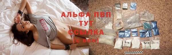 спиды Аркадак