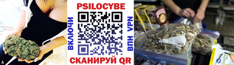 закладка  Тверь  Псилоцибиновые грибы мицелий 