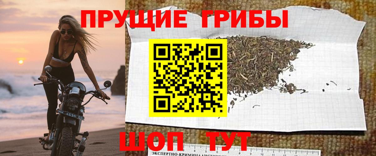 Тверь  Псилоцибиновые грибы мицелий  Вход с VPN 