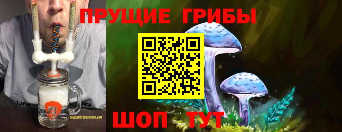 Галлюциногенные грибы мицелий Тверь